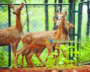 stainless steel deer fence mesh