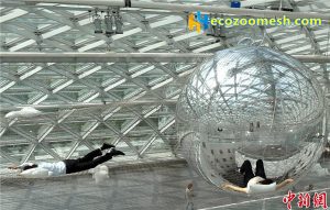 New height of rope mesh3