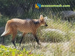 stainless steel wire cable mesh for animal cage protection