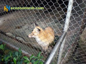 stainless steel wire mesh for animal cage net