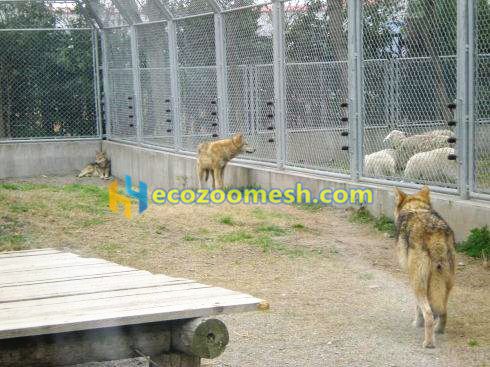 wolf enclosure fence mesh, Wolf Enclosure Mesh