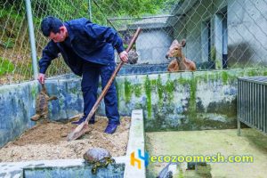 real animal city by rope mesh (1)