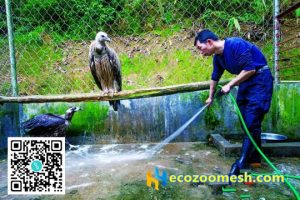 real animal city by rope mesh (3)