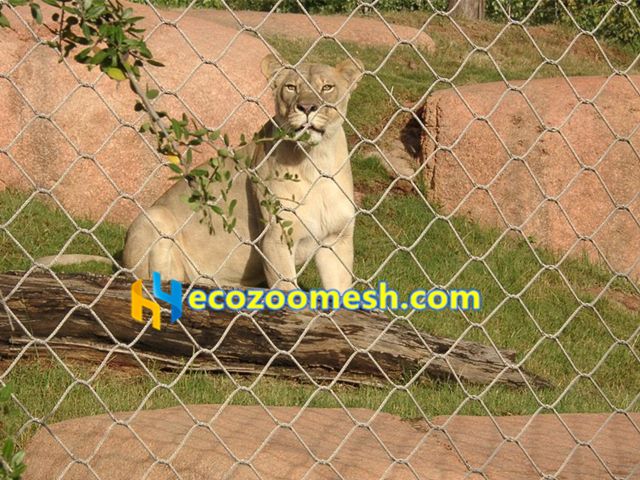 Lion zoo weaving mesh, Lion Enclosure Weaving Net Sales