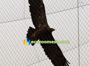 Vulture fence mesh, vulture enclosure netting, eagle cage netting fence – stainless steel wire rope mesh, hand woven stainless steel mesh
