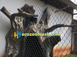 macaw enclosure mesh, parrot cage, bird netting, parrot enclosure