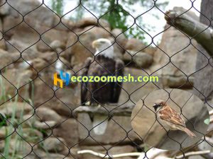 Black stainless steel zoo mesh, black ss mesh