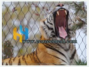 safest zoo wire mesh, Stainless Steel Wire Rope Mesh Net