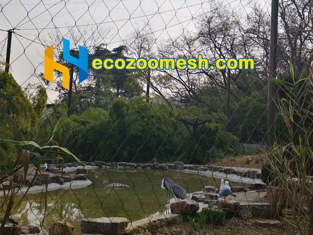 exotic birds avairy cage mesh