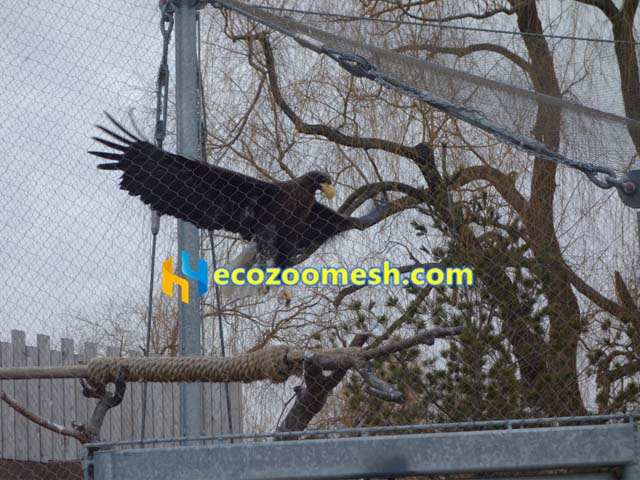 eagle aviary mesh, Stainless Steel Hawk Enclosure Cable Net