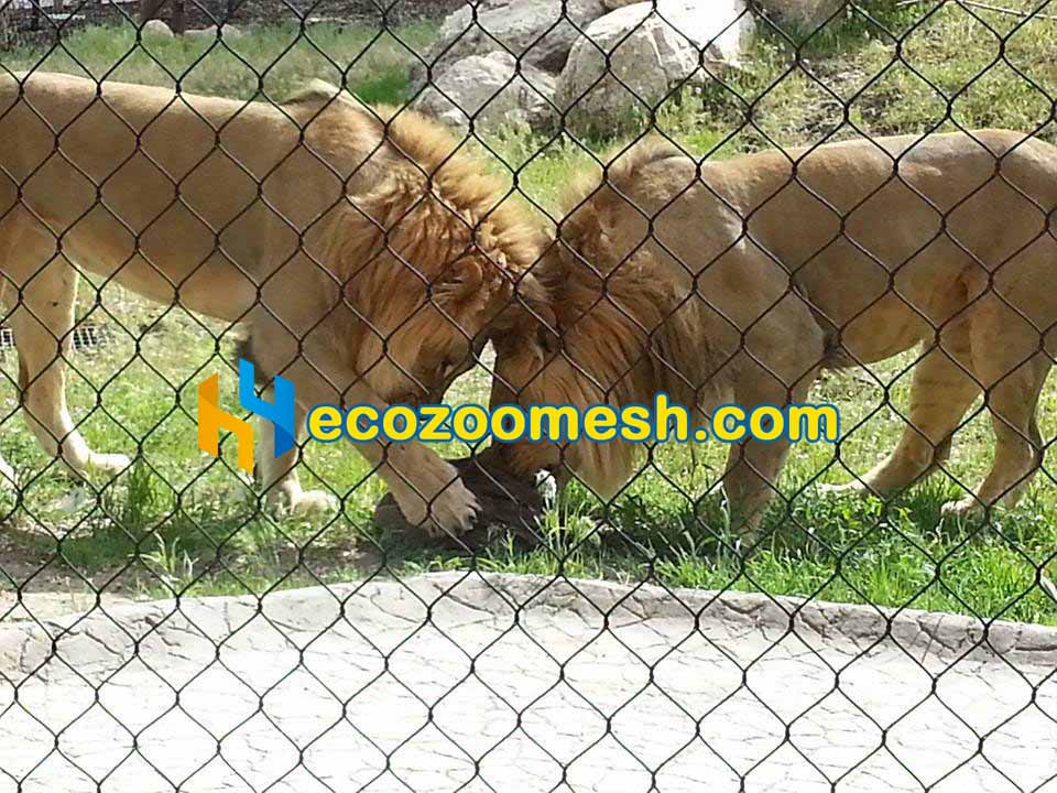 zoo enclosure fence
