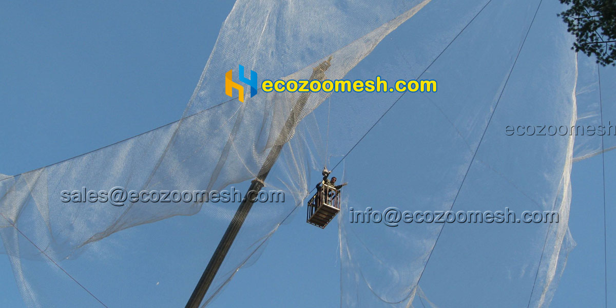 steel mesh better than galvanized aviary wire