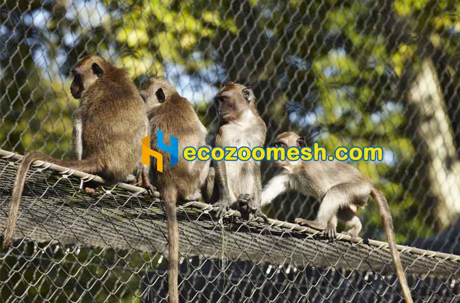 Cable Mesh for Monkey Enclosure