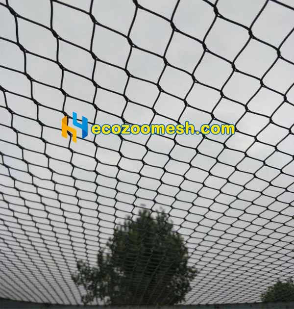 Safe Steel Metal Mesh for Aviary