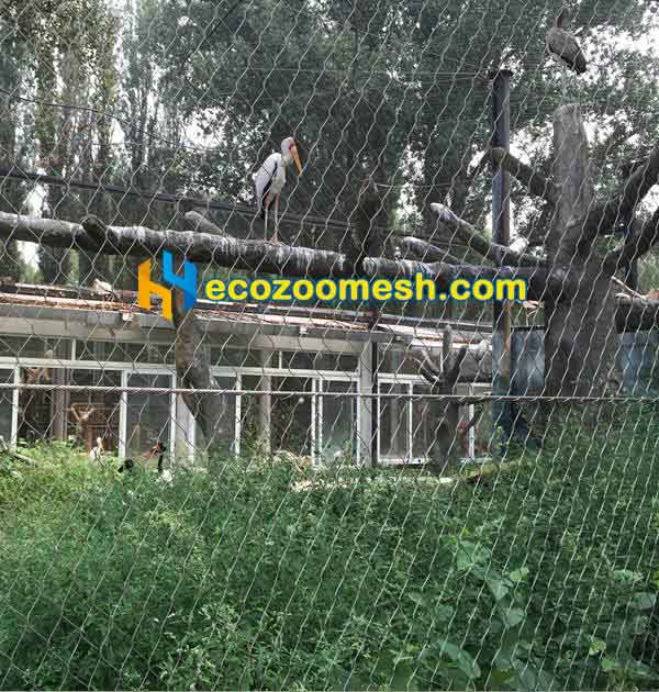 Safe Steel Metal Mesh for Aviary