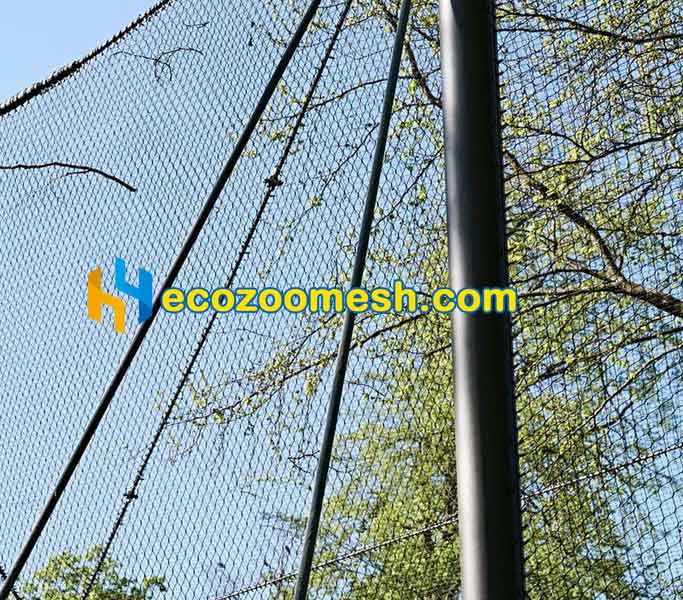 outdoor aviary mesh for birds
