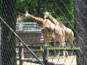 deer enclosure fence mesh, Giraffe fence mesh