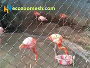 large-bird-netting-aviary-mesh