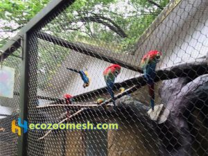 Peony parrot exhibit cage nets