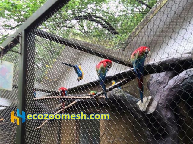 Parrot Aviary Mesh  Zoo Mesh Supplier-Hengyi