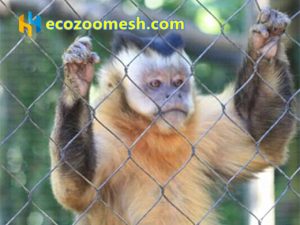 zoo mesh, mokey mesh, mokey enclosure, enclosure mesh, animal cage