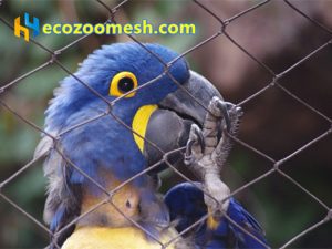 zoo mesh, aviary mesh, bird netting, mesh, aviary, netting