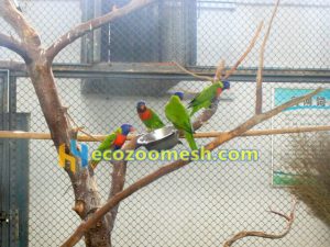 parrot cage netting, parrot cage fence