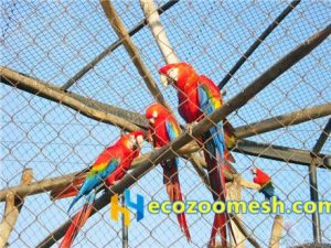 zoo-mesh phantom-mesh aviary-mesh Parrot-mesh- (4)