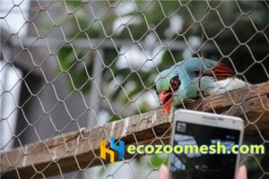 zoo-mesh phantom-mesh aviary-mesh Parrot-mesh