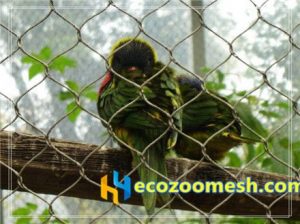 zoo-mesh phantom-mesh aviary-mesh Parrot-mesh- (6)