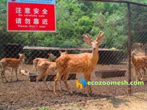 Deer fence mesh (3)