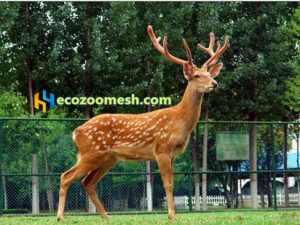 animals mesh, Deer fence mesh (5)