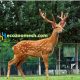 animals mesh, Deer fence mesh (5)