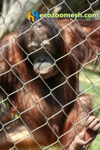 Gorillas enclosure fence, gibbon enclosure nets
