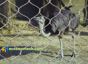 Large Birds Aviary Mesh (1)