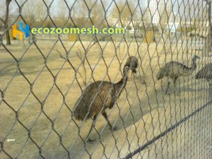 Large Birds Aviary Mesh (2)