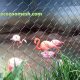 Large Birds Aviary Mesh (7)