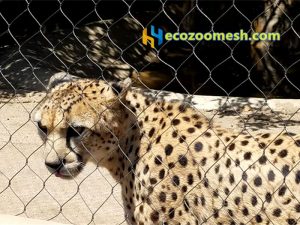 Leopard cage fence (10)