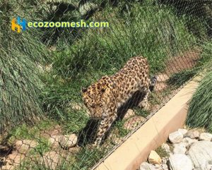 leopard enclsoure mesh, leopard fence netting, leopard cage fence