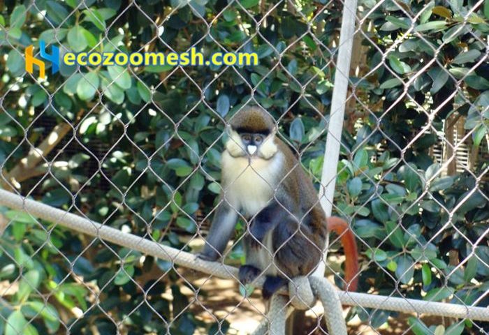 Mokey cage fence netting