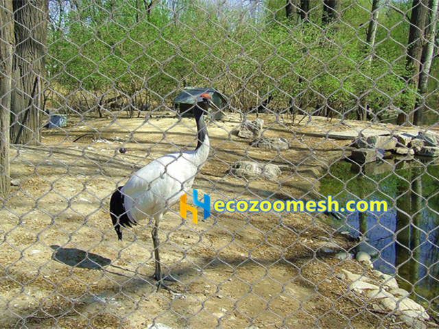 Red-crowned Crane Fence Netting