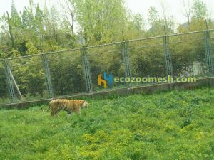 Zoo Tiger Fence Railing Mesh,