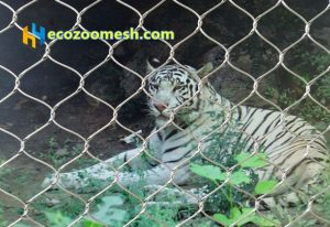 Tiger fences mesh (1)