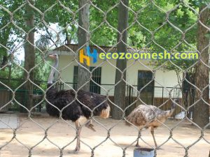 ostrich aviary mesh, aviary fence, aviary enclosure, aviary netting