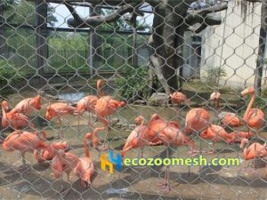 bird aviary mesh, aviary netting, bird cage netting