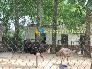 bird fence mesh, bird cage fence netting