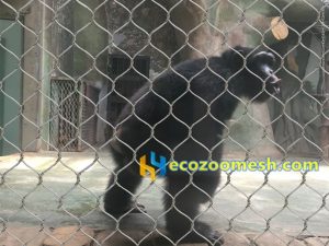 chimpanzee cage enclosure mesh
