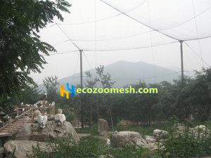 Wire rope bird fence mesh