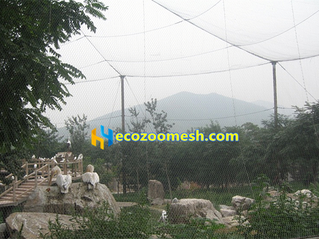 Wire rope bird fence mesh