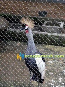 crane exhibit fence mesh